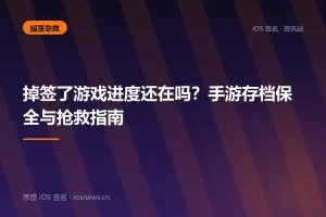 掉签了游戏进度还在吗？手游存档保全与抢救指南