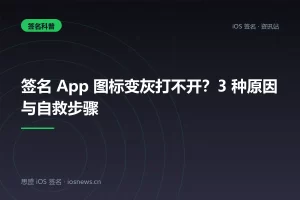 签名 App 图标变灰打不开？3 种原因与自救步骤