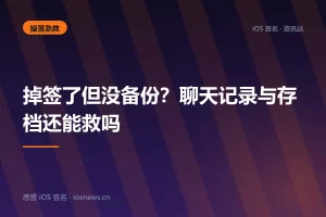 掉签了但没备份？聊天记录与存档还能救吗