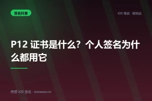 P12 证书是什么？个人签名为什么都用它